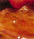 Fantastic french toast