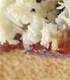 Coconut and jam slice